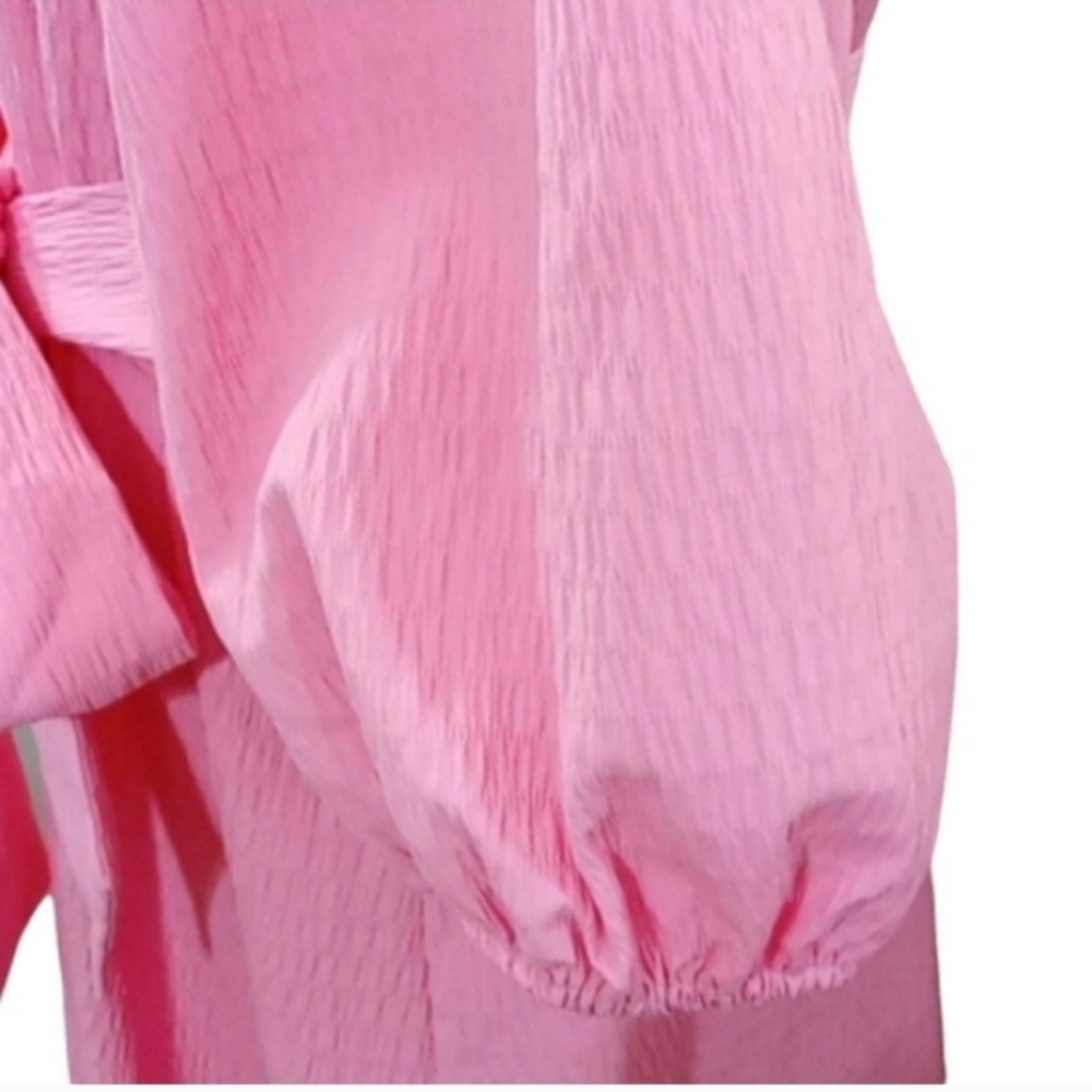 Elizabeth and James Textured Pink Balloon Sleeve Dress Sz Large - Picture 13 of 16